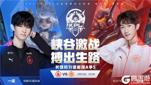 的实力 的实力